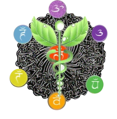 Logo ND Ramirez Naturopath